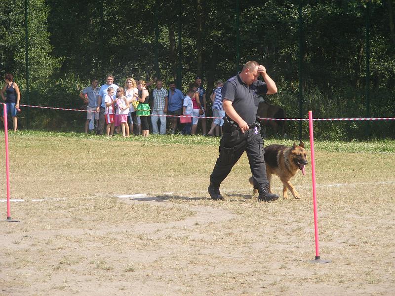 01.07.12r. FESTYN 120
